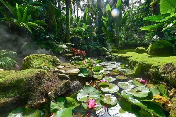 深圳仙湖植物园一日游攻略 附最佳游玩路线