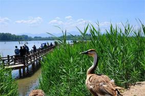 北京野鸭湖国家湿地公园