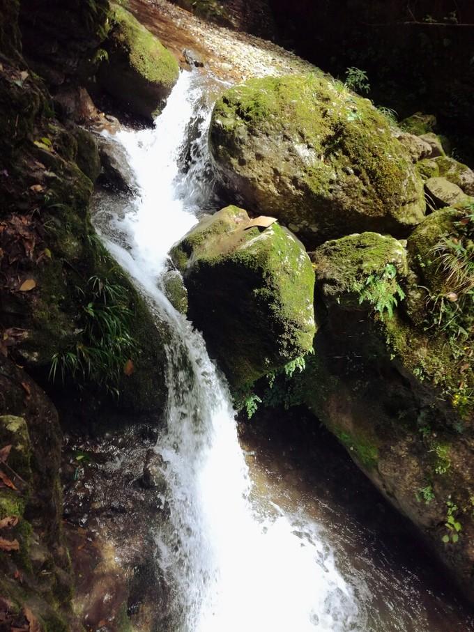 成都青城山后山旅游攻略