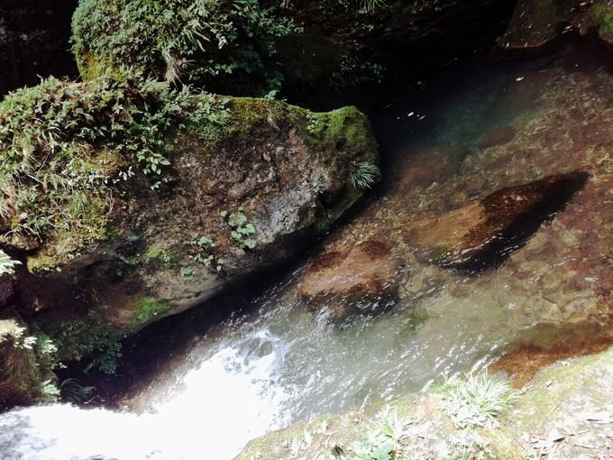 成都青城山后山旅游攻略