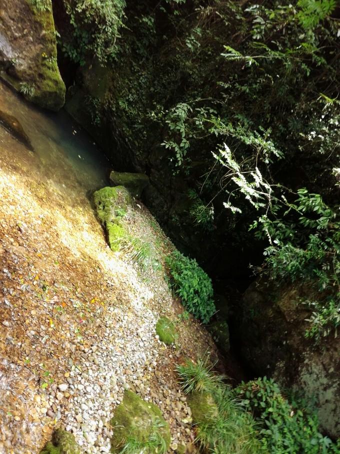 成都青城山后山旅游攻略