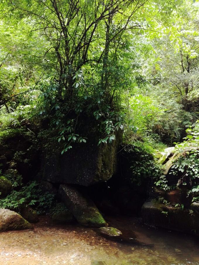 成都青城山后山旅游攻略