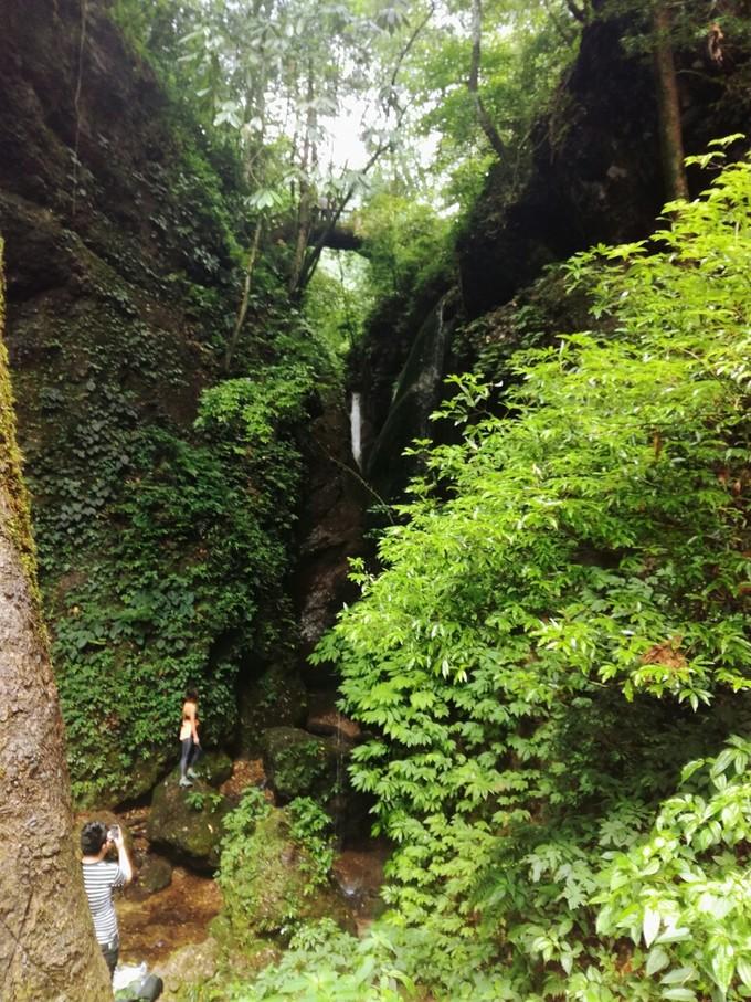 成都青城山后山旅游攻略