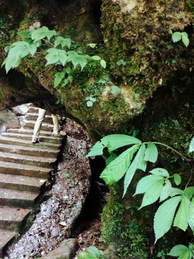 成都青城山后山旅游攻略