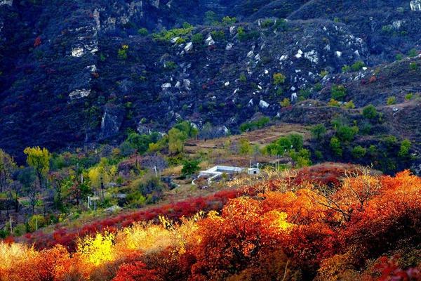 坡峰岭爬山需要爬多久