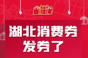 2023湖北消费券在哪里抢怎么抢