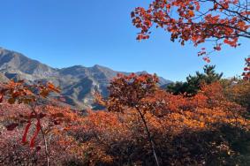 北京药王谷风景区