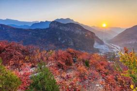 周口店坡峰岭风景区